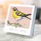 TF Publishing 2025 Birds: Backyard & Beyond Daily Desktop Calendar